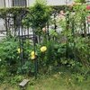 スマホを持ってトイレに行きますか？