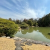 【京都】桂離宮は当日の空き狙い！最高の名園と謳われるお庭を楽しむ
