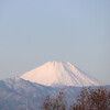 丹沢山脈と富士山