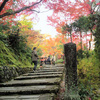 京都　紅葉　今が見ごろ　穴場の化野念仏寺