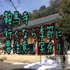 天狗が住むと言われる鞍馬山に初詣に行ったら落とし玉になりかけたよレポ