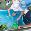 夏の夜店の取材と子どもの肖像権