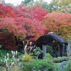 <span itemprop="headline">京都の紅葉2脱帽の大河内山荘</span>