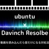 Ubuntu環境のDavinchi Resolveで動画が音声だけになるときにやること