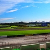 【安田記念 2021 予想】追い切り･ラップ適性･レース傾向考察 ＆ 各馬評価まとめ / 緩急求められないこのレースが真骨頂