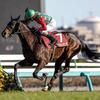 競馬初心者必見☆馬券予想🔥〜弥生賞ディープインパクト記念〜中山2000mの実績馬を素直に評価！