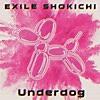 EXILE SHOKICHI/Underdog