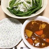 26w0d 食事記録