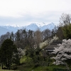 アルプスと桜　　中川村　　2017_04_20