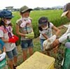 アヒル農法の３２羽役目終了　子どもら別れ　瀬戸内