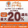 予算次第！鹿児島中央駅西口のゾウさんのはな通り会でau PAYを使うと最大20%還元！Payどんもある！