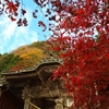 今年も間に合わず、の大山寺