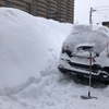 災害級レベルの雪。