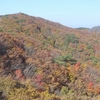 霊山　紅葉（東側）