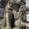 天祖神社　～子連れの狛犬が両側にいる珍しい神社～