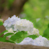 雨だれのリグレット③