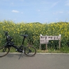 DAHON ViscEvo 【ポタリング】　群馬藤めぐり　DAHON ViscEvo [Cycling Trip] Gunma Wisteria Tour
