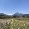 2025/04/17 木曜日　安曇野黒沢川の桜