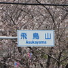 まんぼぅくん、飛鳥山公園の桜