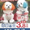 【速報!!】令和7年３月7日（２０２５年３月７日）　鳥取大学　前期試験　合格発表　掲示板全部掲載！合格した受験番号は、コチラ！#鳥取大学　#鳥大　#春から鳥大　#鳥取大　#前期試験　#合格発表