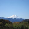 富士山が綺麗・・（山梨県上野原市から）