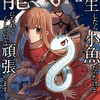 転生したら小魚だったけど龍になれるらしいので頑張りますフロンティアワークスのね