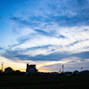 浜ちゃんの散歩道(６２１)　　朝夕の散歩は大地を踏みしめて歩くことにしている。「生きている」という実感がそこにあるからである。