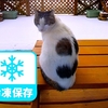 冷凍したらいいモノ❄️