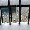 雪景色