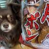 満月ポン
