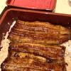 鰻料理専門店【赤坂ふきぬき】で鰻満喫コース