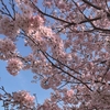 留年したのでブログを始めてみる話