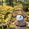 冒険気分満載！紅葉の兼六園を探検だ！(北陸旅その4)(667)