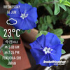 Instaweather：2018-06-06〜06-10