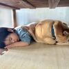 子供の歯ぎしりが心配？イライラを和らげる方法を徹底検証！