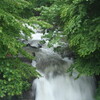 降り続く雨