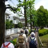 多様な植物楽しむ　東京・世田谷区の北沢川緑道ウオーク