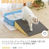 愛猫の足腰をサポートするにゃんこスロープ 猫にもバリアフリー？我が家の五猫達は、高齢期に差し掛かっています