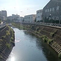 日記
