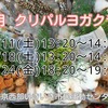 １月ヨガクラス　スケジュール