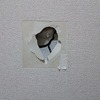 中古マンション購入後の修繕　ビフォーアフター壁紙とカーペット