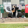 2024年　百年大芸能祭＠大阪・いくのパーク