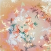  Bibio / Silver Wilkinson