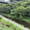 7月31日(金)秩父フライフィールドの河川情報