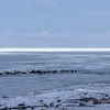 【常呂館】流氷の様子と流氷本