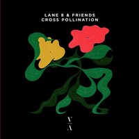 Lane 8『Cross Pollination』(2020)｜夜に溶けるメロディ。“聴くためのハウス”の完成形