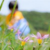 金熊寺梅林はふぁーむもええとこ✨