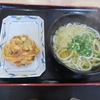 今日のサラメシは かけうどんとたまねぎのかき揚げ３５０円