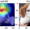 Tensorflow-EfficientnetでGradCAMを実装してみた