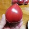 もらった！